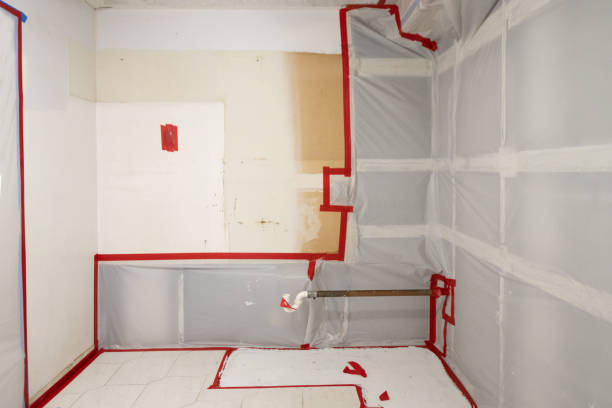 Best Biohazard Mold Removal  in Kent Estates, IA