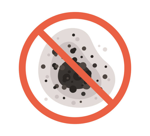 Reliable Kent Estates, IA Mold Removal Solutions
