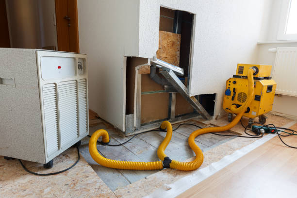 Best Forensic Mold Investigation  in Kent Estates, IA