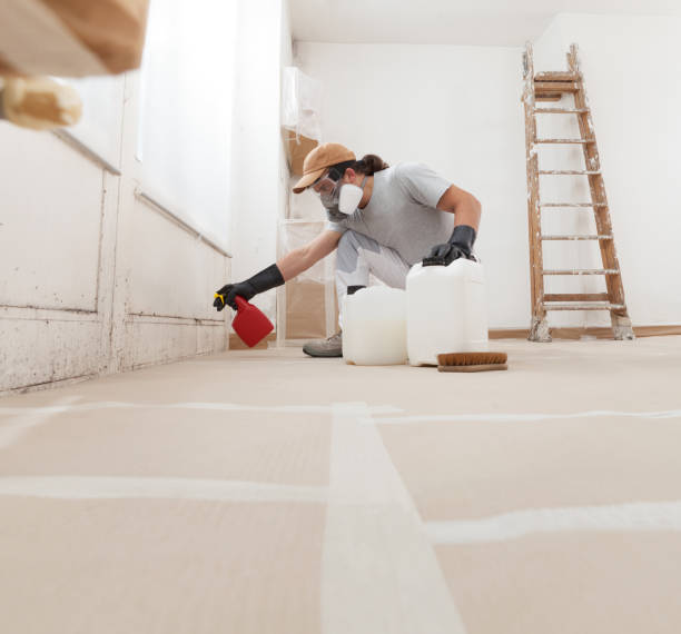 Best Emergency Mold Remediation  in Kent Estates, IA
