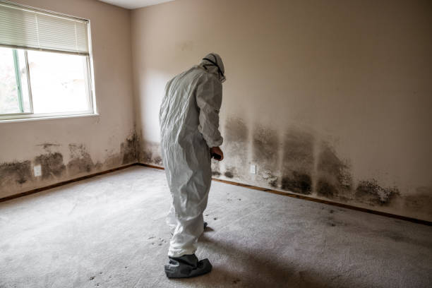Best HVAC Mold Inspection and Cleaning  in Kent Estates, IA